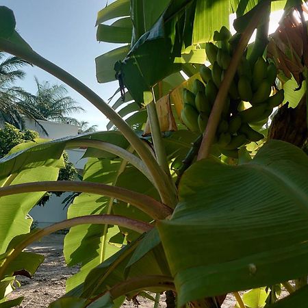 Case Traditionnelle Diola Au Bord De L'Ocean Cap Skirring Exterior foto