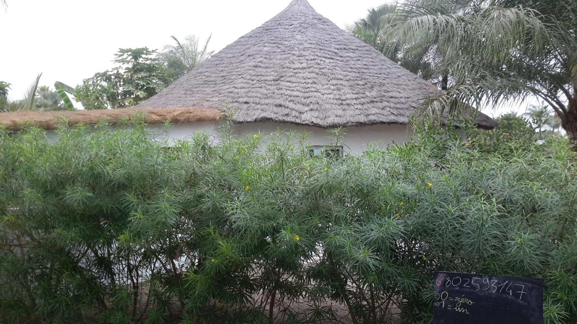 Case Traditionnelle Diola Au Bord De L'Ocean Cap Skirring Exterior foto